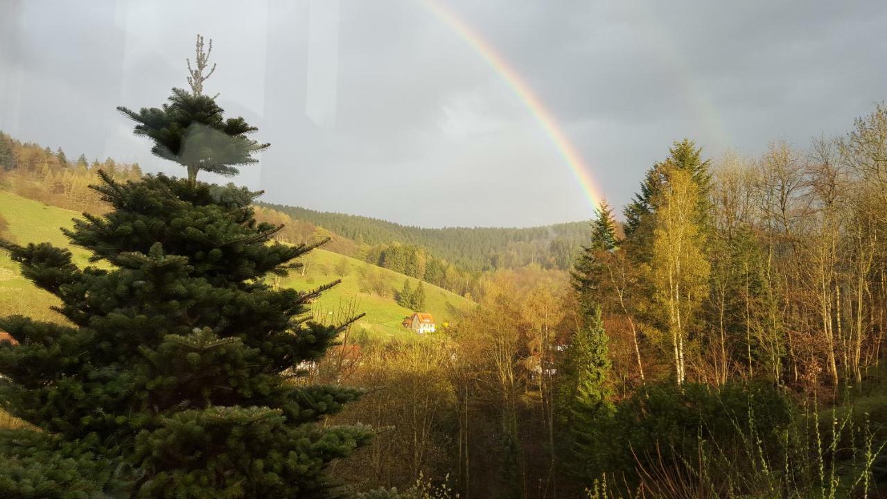 Apartment Bergblick *
